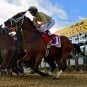 Preakness Stakes, Pimlico Race Course, Maryland, Stronach Group