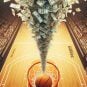 Tourism Board Investigated After Gifting Each Las Vegas WNBA Player $100K