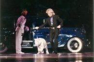Siegfried & Roy’s Limos Fetching Pittance in Online Auction