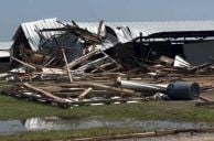 Oklahoma Tornado Kills Three Horses, Injures Others at Will Rogers Downs: Report