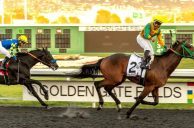 Golden Gate Fields Runs Its Last Race Sunday