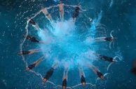 New Doc Chronicles Near Death of Cirque’s “O” Show at Bellagio Las Vegas
