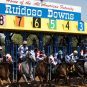 New Mexico Race Track Damaged by Flooding, Events Rescheduled