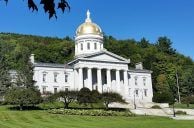 Vermont Democrats’ Debit Card Illicitly Used to Wager on FanDuel