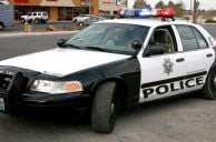 Man on Las Vegas Strip Endangers Puppy When He Allegedly Forces it to Relieve Itself