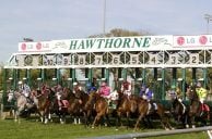 Hawthorne Race Course Denies Running Sick Horses to Boost Betting Numbers