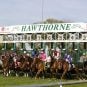 Hawthorne Race Course, RICO lawsuit, Christine Tuma, Illinois Racing Board