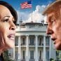 political bettors debate Trump Harris odds