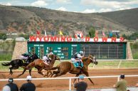 Wyoming Gaming Agency Commissions iGaming Study