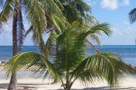 Belize Police Officer Allegedly Stole $320 Worth of Casino Chips
