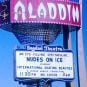 LOST VEGAS: Nudes on Ice