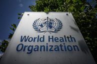 World Health Organization Says Normalization of Gambling a Detriment to Global Wellness