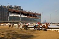 Illinois Bill Would Authorize $150M Racino in Decatur
