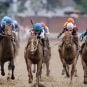 horse racing industry parimutuel wagering