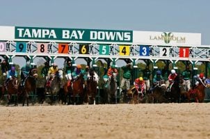 Tampa Bay Downs, Gulfstream Park, decoupling, HB 105