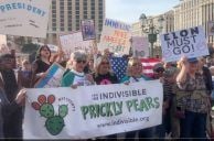 Police Arrest Trump Protester Kayaking in Bellagio Fountains