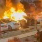 Alleged Tesla Terrorist Arrested by Las Vegas Police