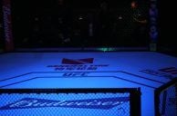 UFC Names NetBet as Official Sportsbook