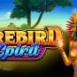 Bragg Gaming Group Announces Record Q4 and Full Year Revenue