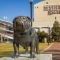 Mississippi sports betting online mobile