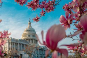 federal sports betting bills Congress
