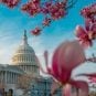 federal sports betting bills Congress