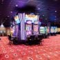 Delta Bingo & Gaming Selects Strive to Power Digital Relaunch