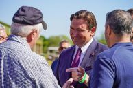 Florida House Passes Bill That Puts Thoroughbred Racing at Risk