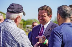 Florida horse racing, Decoupling, Gulfstream Park, Tampa Bay Downs, Ron DeSantis, Thoroughbred racing Florida