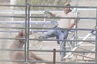 Latest Lake Mead Body Belongs to Vegas Veterinarian Filmed Kicking a Horse