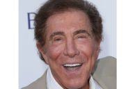 Steve Could Finance Wynn-ing TikTok Bid — Report