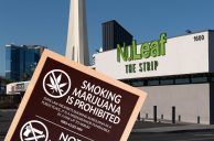 Casino Exec Supports Federal Reclassification of Cannabis to Allow Gaming and Weed to Mix