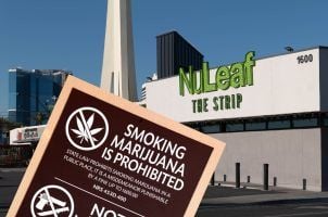 casino cannabis marijuana weed