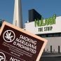 casino cannabis marijuana weed