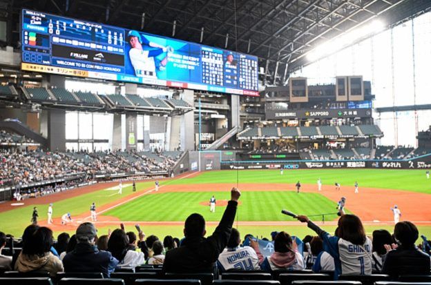 illegal online gambling Japan baseball