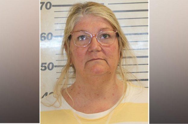 Dee Ann Schippert, Iroquois County theft, public corruption trial, Illinois gambling fraud, health department scandal