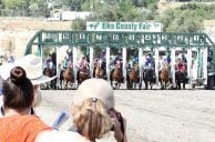 Trainer Fined $100K by Nevada Regulators for Drugging Race Horses