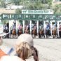Trainer Fined $100K by Nevada Regulators for Drugging Race Horses