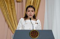 Thailand Casino Opposition Claims Referendum Threshold Met