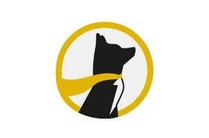 Underdog Fantasy, California DFS lawsuit, daily fantasy sports legality, DFS, Rob Bonta