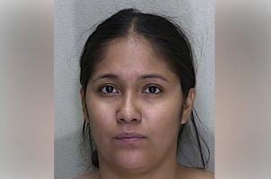 Florida casino petition fraud, Maria Guadalupe Bautista, Las Vegas Sands ballot campaign, Seminole Tribe opposition, Florida Voters in Charge PACv
