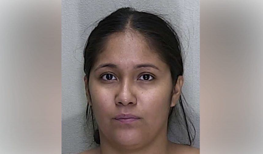 Florida casino petition fraud, Maria Guadalupe Bautista, Las Vegas Sands ballot campaign, Seminole Tribe opposition, Florida Voters in Charge PACv