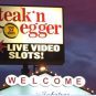 Jeffrey Bertucci, Illinois Gaming Board, Chicago Outfit, Illegal gambling, Video poker license