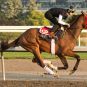 Ontario Bettors are Now Able to Wager on Horse Racing via Ontario Lottery and Gaming