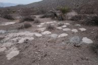Piles of Cremated Human Remains Found in Desert Outside Las Vegas
