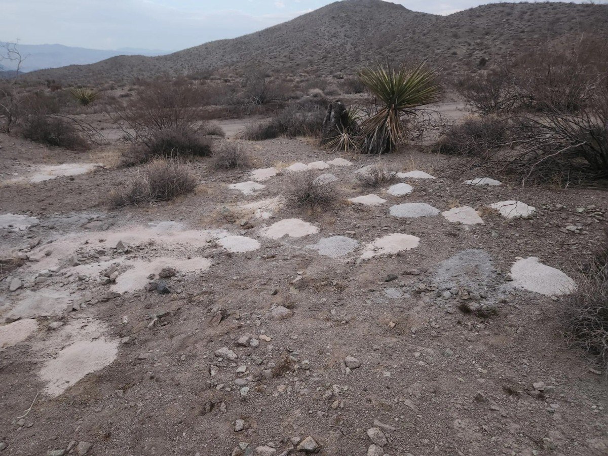Piles of Human Cremains Found in Desert Outside Las Vegas
