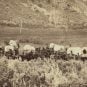 VEGAS MYTHS BUSTED: The Lost Mormon Wagon Train Treasure