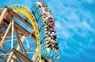 Roller Coaster Rescuer Gene Staples Denies Desperado Purchase