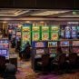 American Gaming Industry consumer survey