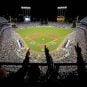 MLB and Sportsbook Partners Announce Limits on Pitching Markets